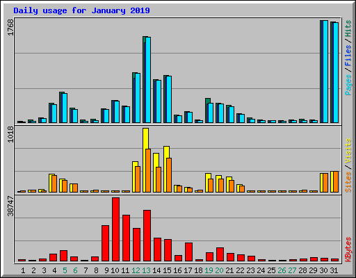 Daily usage for January 2019