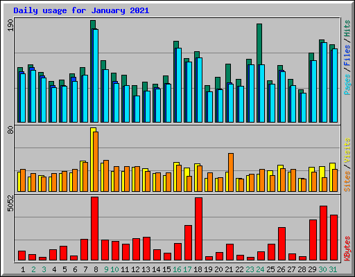 Daily usage for January 2021