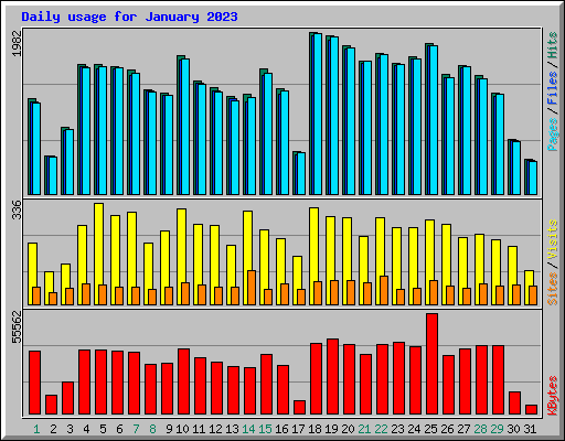 Daily usage for January 2023