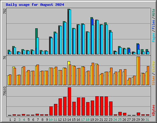 Daily usage for August 2024