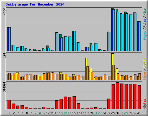 Daily usage for December 2024