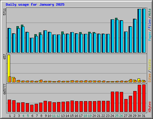 Daily usage for January 2025