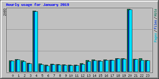 Hourly usage for January 2019