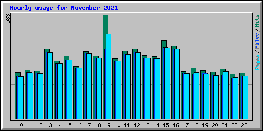 Hourly usage for November 2021