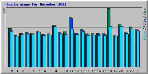 Hourly usage for December 2021