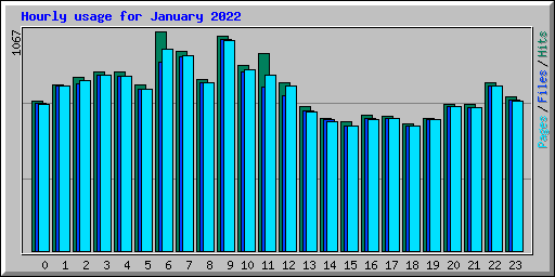 Hourly usage for January 2022