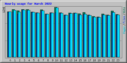 Hourly usage for March 2022