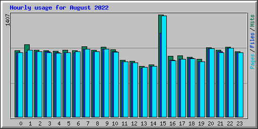 Hourly usage for August 2022