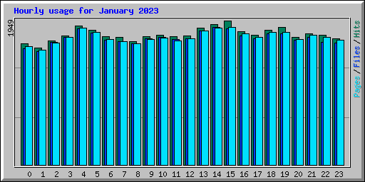 Hourly usage for January 2023