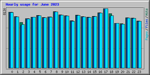Hourly usage for June 2023