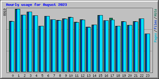 Hourly usage for August 2023