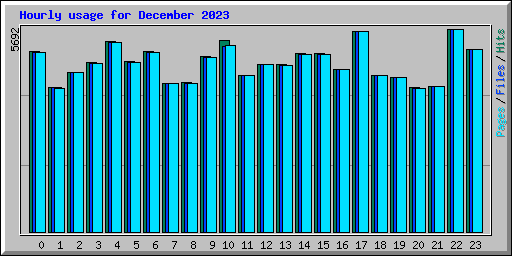 Hourly usage for December 2023
