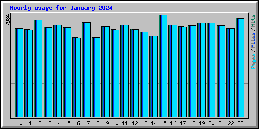 Hourly usage for January 2024