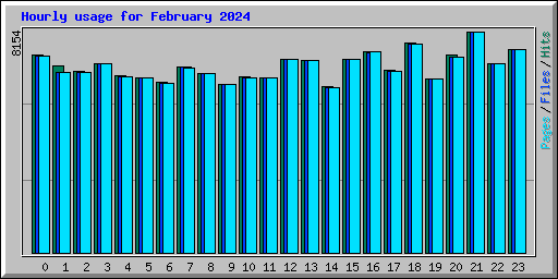 Hourly usage for February 2024