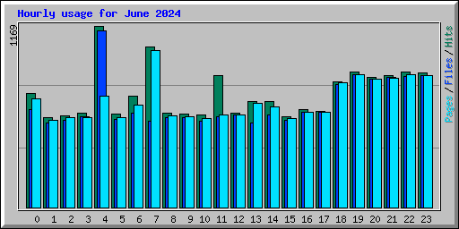 Hourly usage for June 2024