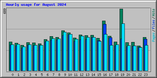 Hourly usage for August 2024