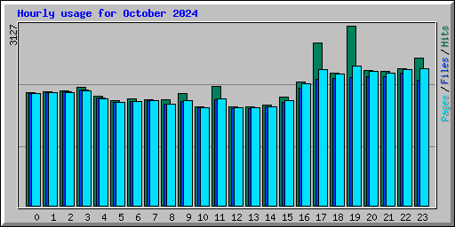 Hourly usage for October 2024