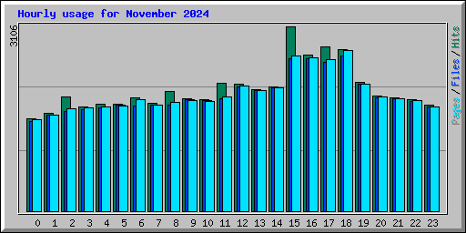 Hourly usage for November 2024