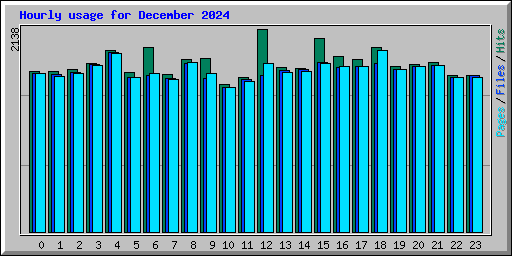 Hourly usage for December 2024