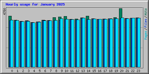 Hourly usage for January 2025