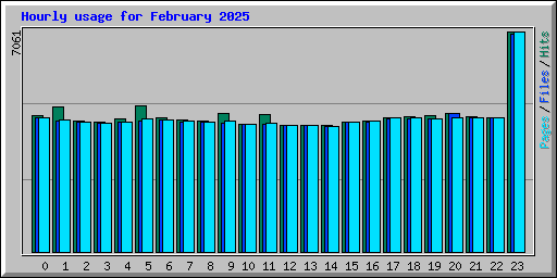 Hourly usage for February 2025