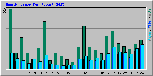 Hourly usage for August 2025