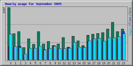 Hourly usage for September 2025